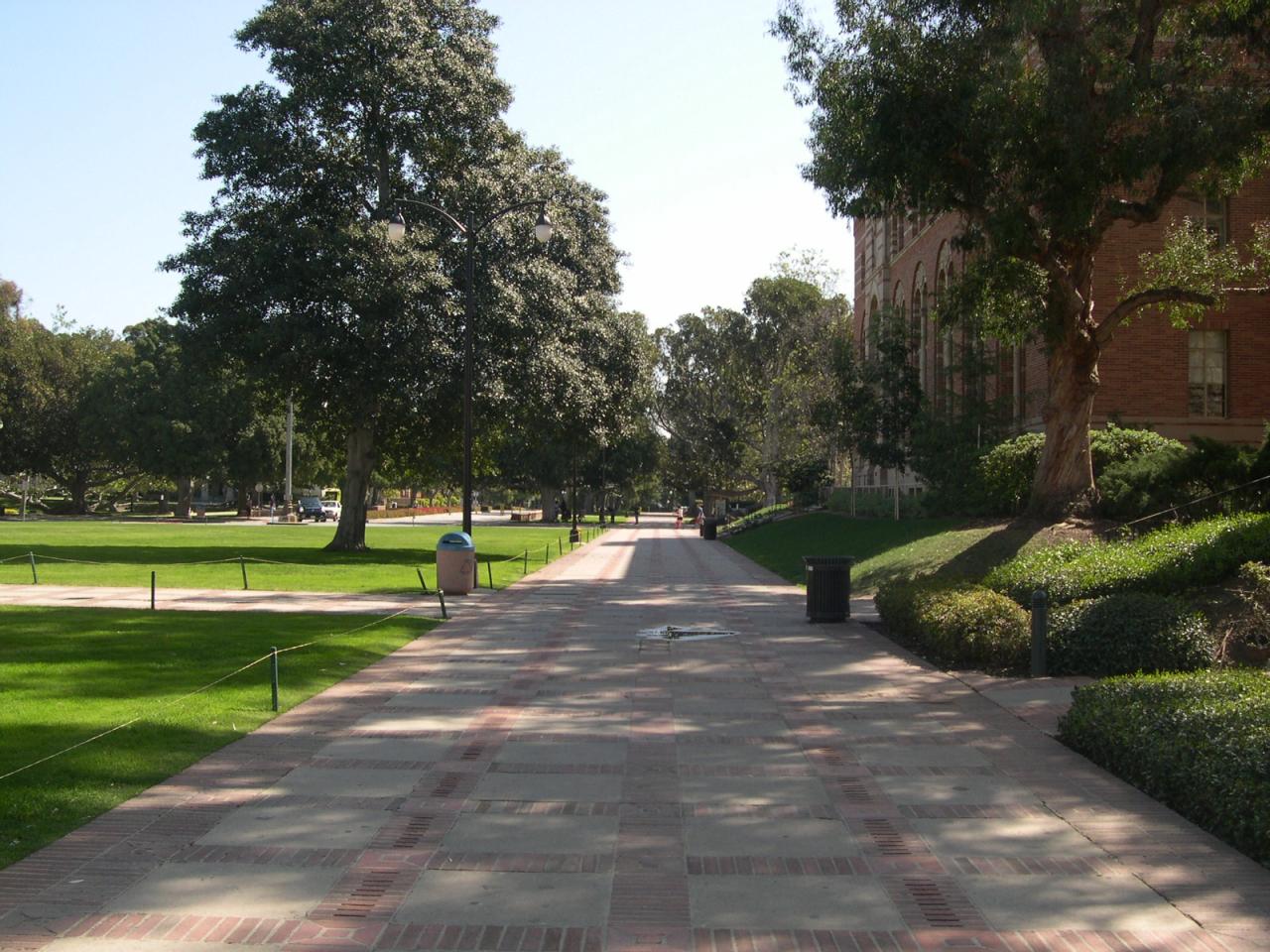 UC Sunnydale (UCLA)